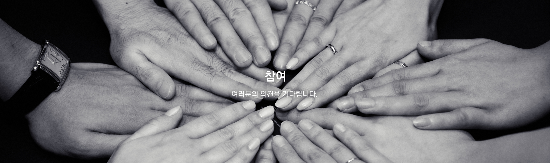 참여